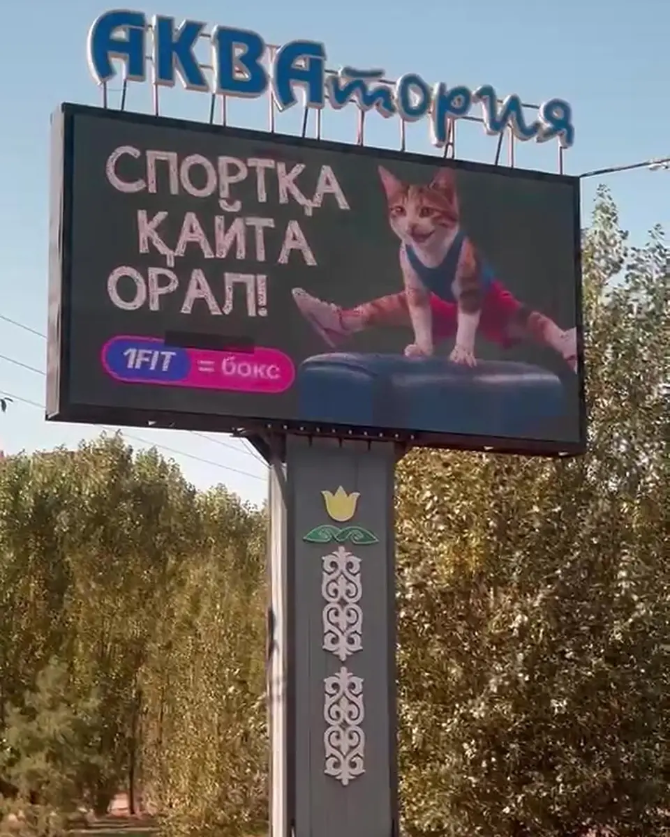 Цифровой LED-экран в Актобе: пр. А. Молдагуловой — ул. Тайбекова (напротив Вечного огня)